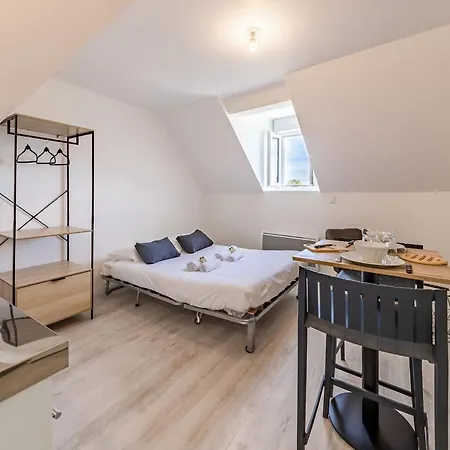 Proche Universite Et Commodites Apartment Angers