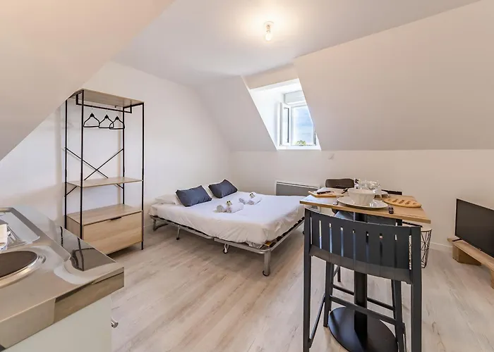 Proche Universite Et Commodites Apartament Angers